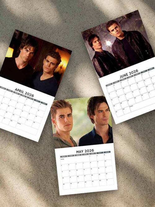 A Year Of Damon and Stefan 2026 Calendar | Home Decor, Office Decor, Retro Movie Fan Gift