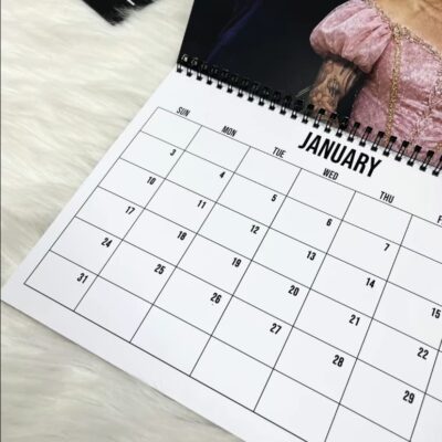 A Year Of Fifanic 2027 Calendar A Year Of Fifanic 2027 Calendar