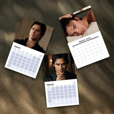 A Year Of Damon 2027 Calendar, The Vampire Diaries Movie